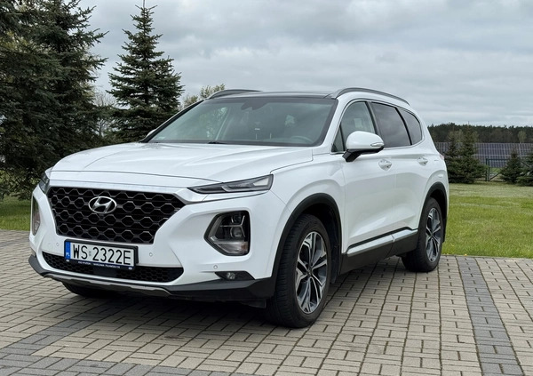 Hyundai Santa Fe cena 147000 przebieg: 62000, rok produkcji 2019 z Siedlce małe 137